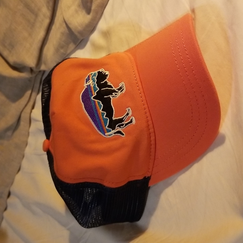 Womens Patagonia hat